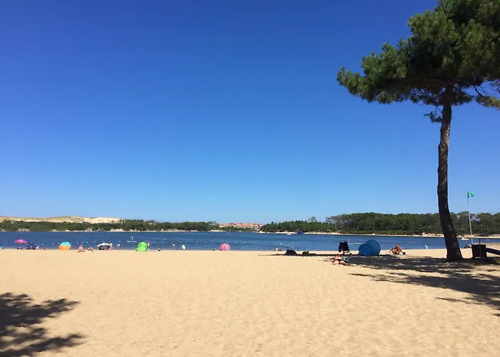 Domaine De Pinsolle *