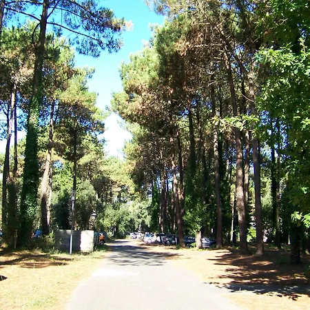 Domaine De Pinsolle Apartman Soustons