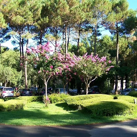 Lejlighed Domaine De Pinsolle Soustons