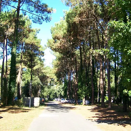 Domaine De Pinsolle